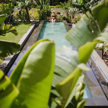 Encanto Costero Acogedor En Golf Del Sur, Tenerife 펜션 *